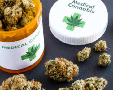 south florida medical marijuana